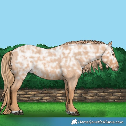 Horse Color:Red Ice Roan Rabicano 