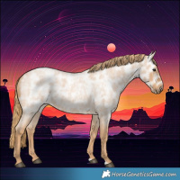 Horse Color:Red Ice Roan Rabicano