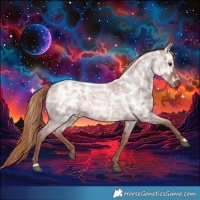 Horse Color:Red Ice Roan Rabicano 