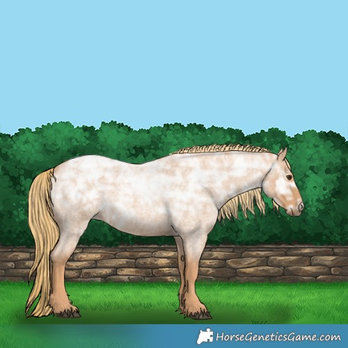 Horse Color:Red Ice Roan Rabicano 