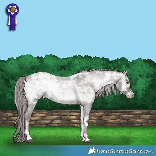 Horse Color:Platinum Liver Red Onyx Ice Roan Rabicano 
