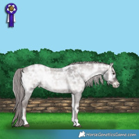 Horse Color:Platinum Liver Red Onyx Ice Roan Rabicano