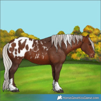 Horse Color:Silver Brown Tobiano Blanket 