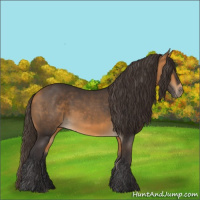 Horse Color:Buckskin 