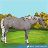 Horse Color:Silver Brown Tobiano Varnish 
