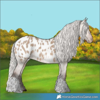 Horse Color:Silver Brown Dun Tobiano Blanket 