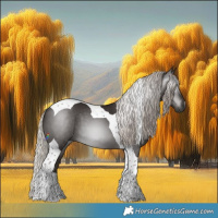 Horse Color:Gray Silver Black Tobiano 