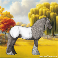 Horse Color:Silver Black Tobiano Appaloosa 