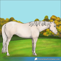 Horse Color:Gold Cream Champagne Pearl 