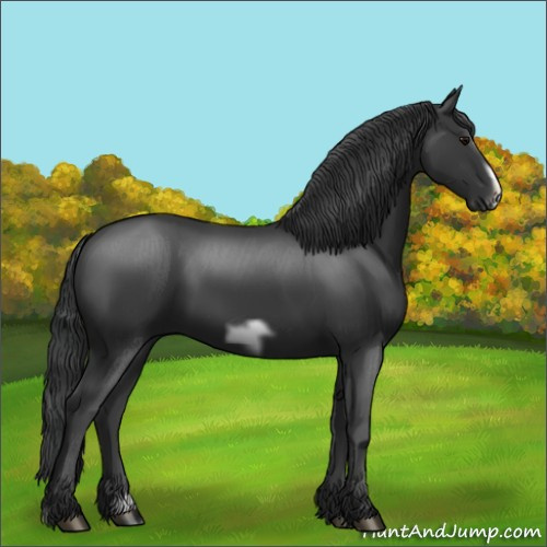 Horse Color:Black Frame