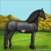 Horse Color:Black Frame 