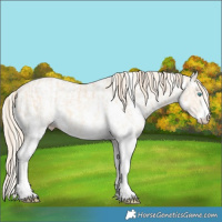 Horse Color:Perlino Sabino and Perlino Dun Sabino