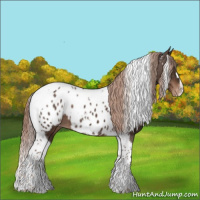 Horse Color:Liver Chestnut Tobiano Near Leopard 