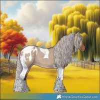 Horse Color:Silver Brown Dun Tobiano Blanket 