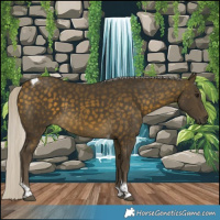 Horse Color:Silver Buckskin Tobiano 