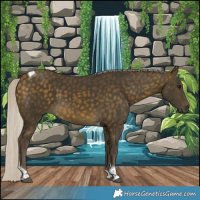 Horse Color:Silver Buckskin Tobiano 