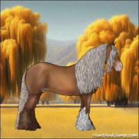 Horse Color:Gray Silver Sable Champagne 