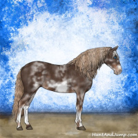 Horse Color:White Spotted Liver Chestnut Frame 