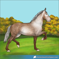 Horse Color:Gray Silver Sable Champagne 