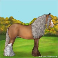 Horse Color:Gray Silver Sable Champagne 