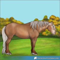 Horse Color:Gray Silver Sable Champagne 
