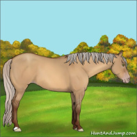 Horse Color:Gray Silver Sable Champagne Dun 