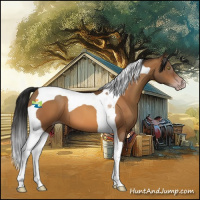 Horse Color:Gray Sable Champagne Tobiano 