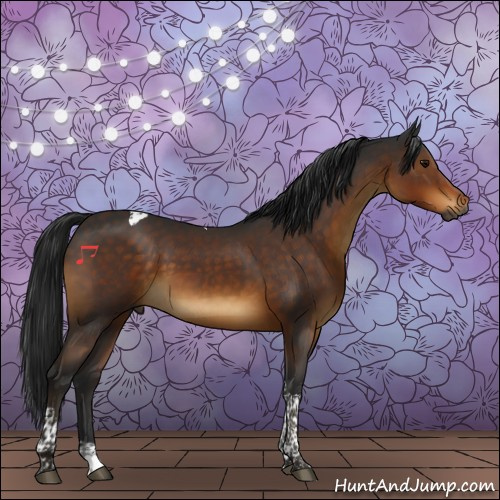 Horse Color:Gray Buckskin Tobiano 