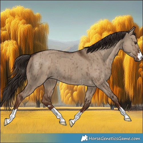 Horse Color:Liver Red Dun Brindle 