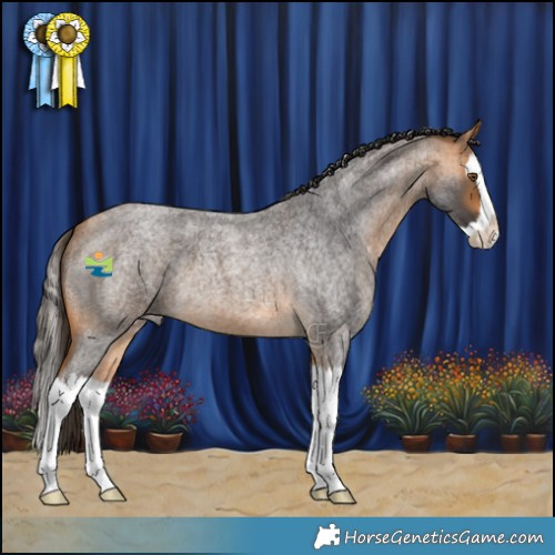 Horse Color:Buckskin Roan Splash 
