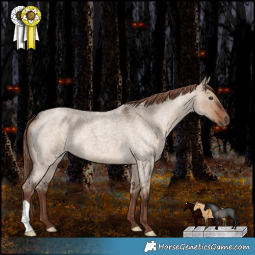 Horse Color:Liver Red Dun Roan 
