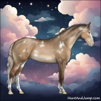 Horse Color:Gray White Spotted Silver Grullo Pearl Splash Tobiano Rabicano