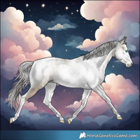 Horse Color:Gray White Spotted Grullo Pearl Splash Tobiano Blanket Rabicano 