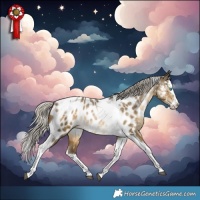 Horse Color:Gray Silver Buckskin Pearl Dun Splash Tobiano Near Leopard Rabicano 