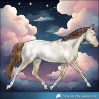 Horse Color:Gray White Spotted Sable Cream Champagne Snowdrop Dun Tobiano Blanket Rabicano