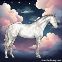 Horse Color:Gray White Spotted Silver Classic Champagne Pearl Dun Mushroom Tobiano Appaloosa Rabicano 