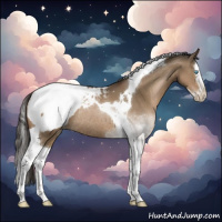 Horse Color:Gray Grullo Pearl Splash Tobiano Snowcap Rabicano 