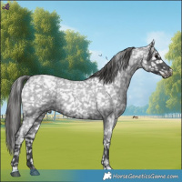 Horse Color:Blue Roan Snowflake Varnish 