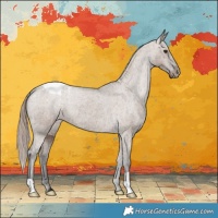 Horse Color:Liver Red Dun Appaloosa Brindle 