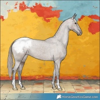 Horse Color:Liver Red Dun Appaloosa Brindle