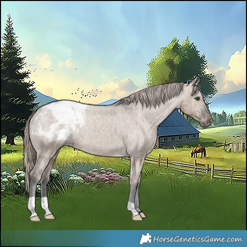 Horse Color:Liver Red Dun Appaloosa Brindle 