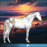 Horse Color:Liver Red Dun Appaloosa Brindle 