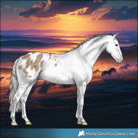 Horse Color:Liver Red Dun Appaloosa Brindle 