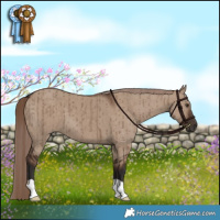 Horse Color:Liver Red Dun Brindle 