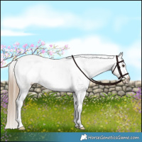 Horse Color:Liver Red Dun Varnish Brindle 