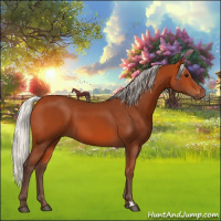 Horse Color:Silver Bay 