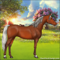 Horse Color:Silver Bay 