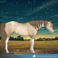 Horse Color:Buckskin Pearl Tobiano 