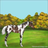 Horse Color:White Spotted Liver Chestnut Mushroom 