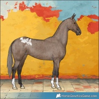 Horse Color:Liver Red Dun Appaloosa Brindle